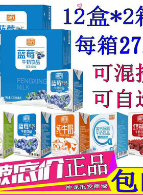 风行牛奶蓝莓味200ml/12盒*2箱