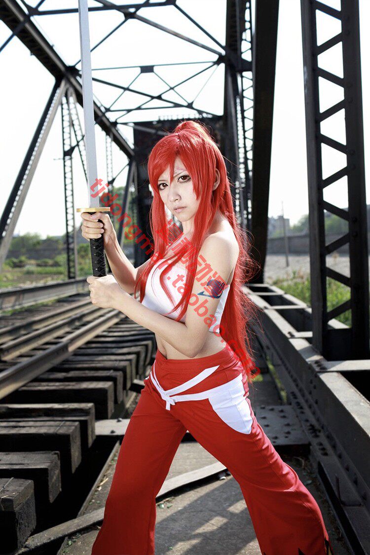 妖精的尾巴 艾露莎 清心之衣 cosplay定做 承接动漫服装假发定制