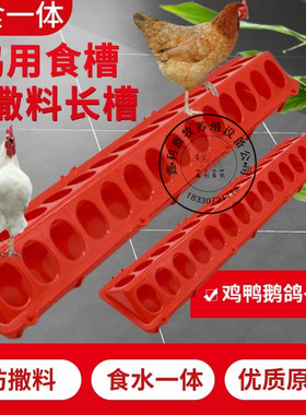 鸡鸭鹅大食槽喂食防撒养鸡鸭喂料槽长方形水料一体大鸡食盒鸡食盒