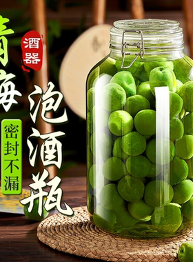 青梅泡酒玻璃瓶专用酒瓶杨梅自酿果酒空瓶子食品级密封罐酒坛容器