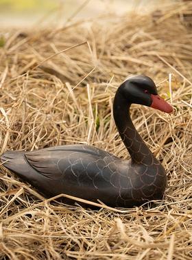仿真黑天鹅布景摆件实木