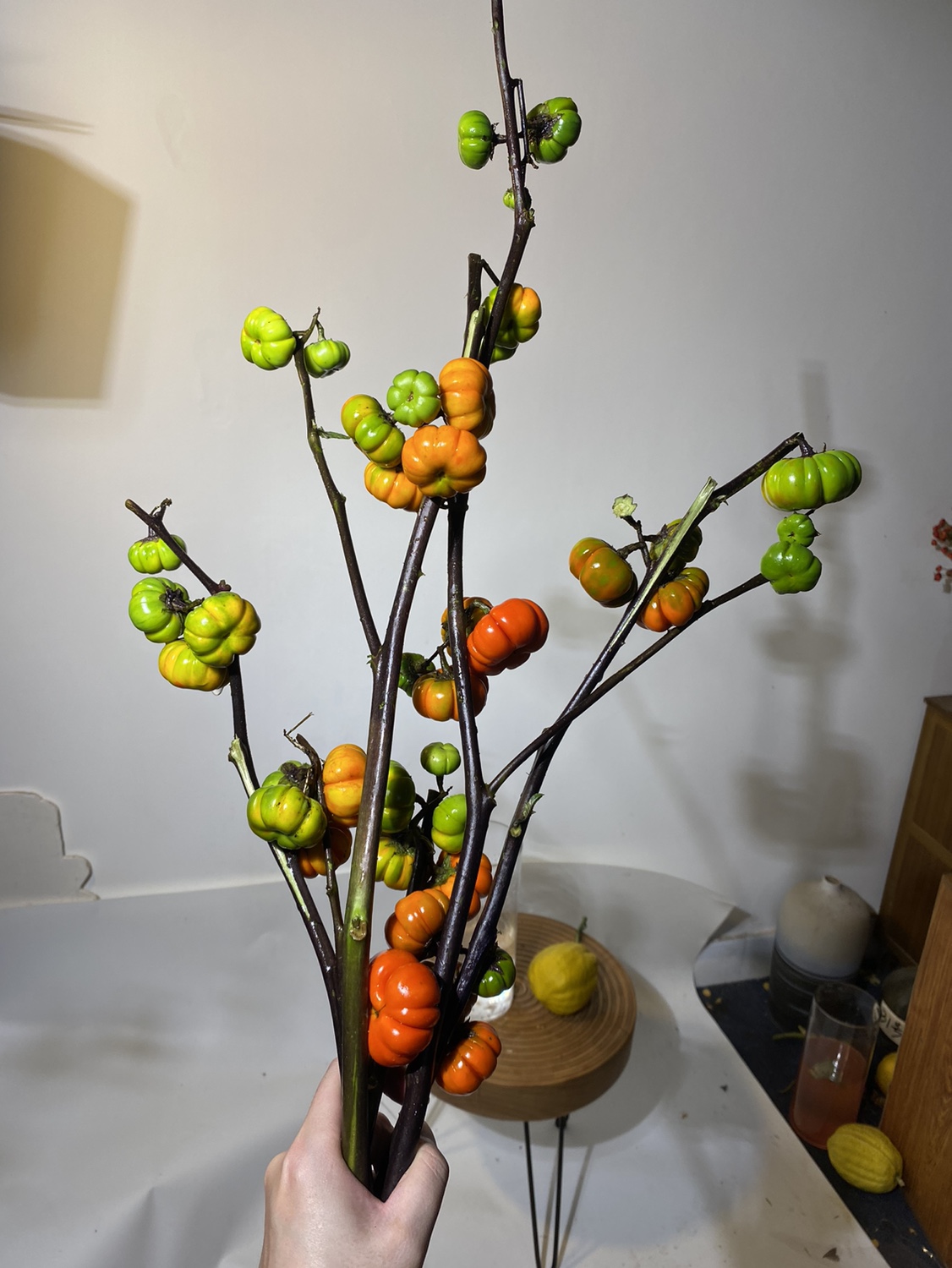 二狗家奇花异果  小南瓜鲜切枝室内水培 鲜花