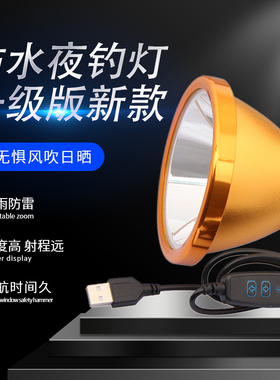 鸿顺30W60W45W100W无极调光USB白光蓝光黄光高亮夜钓鱼强光远灯头