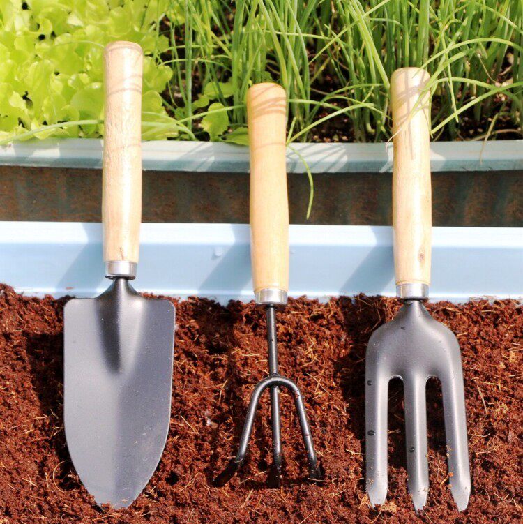 养花种菜大号铲子花园绿植盆栽多肉植物园艺工具三件套花铲叉耙子|ruв категории доставка цветов/цветок моделирования/растения садоводства, садовых принадлежностей, лопата/грабли/лопата/мотыга (новый), лопата - от Buy2taobao.com для оказания профессиональной услуги покупки агента Taobao