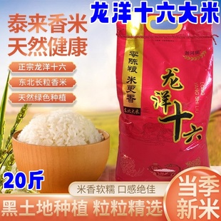 龙洋十六大米20斤/40斤泰来香米东北农家院天然长粒香稻花米香米