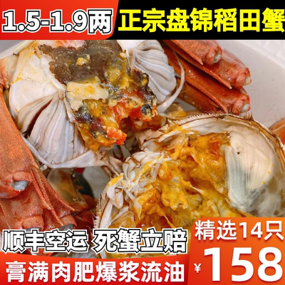 盘锦河蟹14只六月黄1.5-1.9两