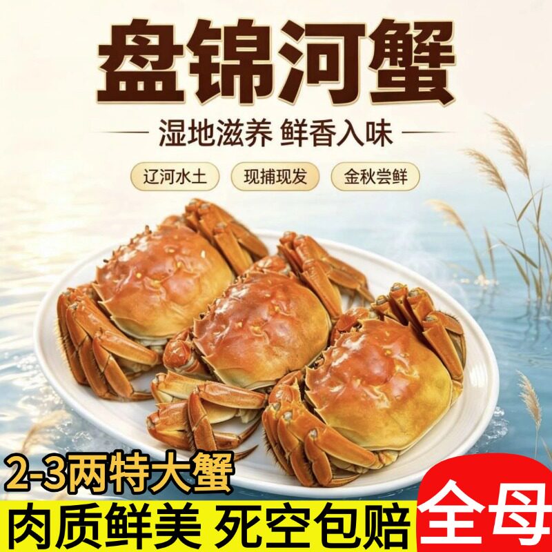 盘锦河蟹稻田蟹鲜活蟹全母河蟹特大保肥2-3两顶盖肥大闸蟹螃蟹
