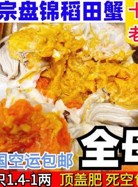 全母】盘锦河蟹1.4-1两20只顺丰