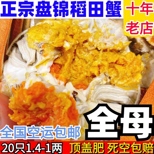 全母】盘锦河蟹1.4-1两20只顺丰