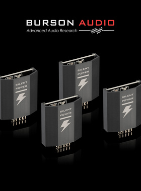 Burson博雅SP02升级电源模块 0.8nVrms低噪音适配Voyager与GT系列