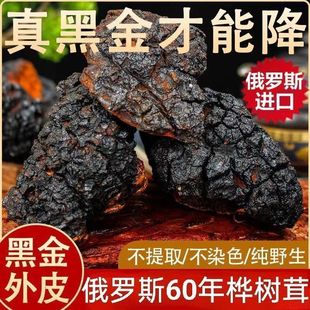 桦树茸俄罗斯进口60年份桦褐孔菌高年份黑金颗粒白桦茸正宗保真