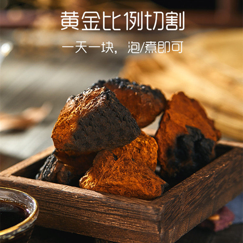 榕华树菌褐孔菌俄罗斯华树绒泪桦桦树白桦树进口茸华树荣桦树