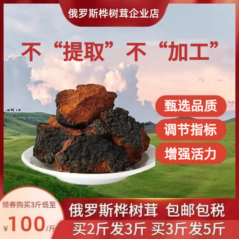 桦树茸俄罗斯进口野生天然黑金白桦茸桦褐孔菌非长白山