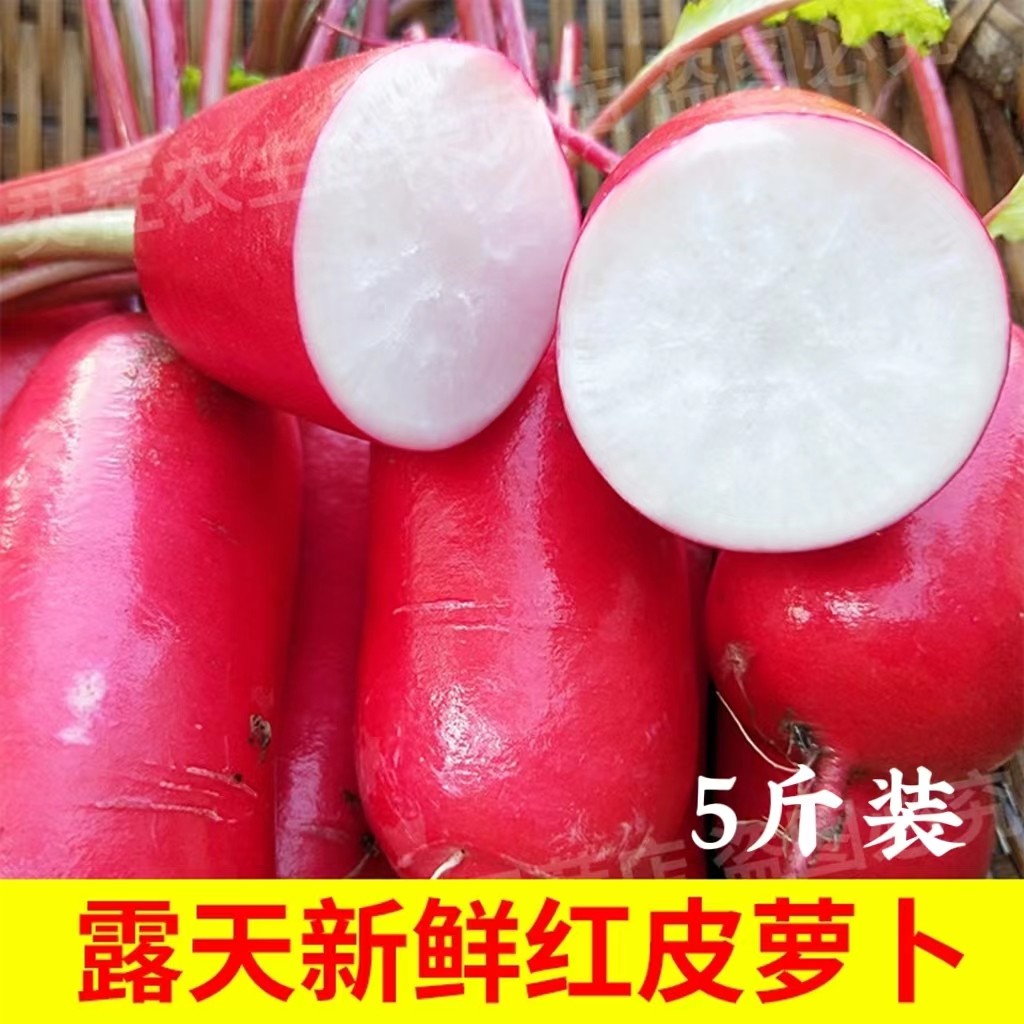 湖北农家新鲜红萝卜水果红皮白肉萝卜当季青蔬菜泡菜胭脂水萝卜,水产肉类/新鲜蔬果/熟食,萝卜/胡萝卜,淘宝优惠券,粉丝福利购,淘宝优惠卷