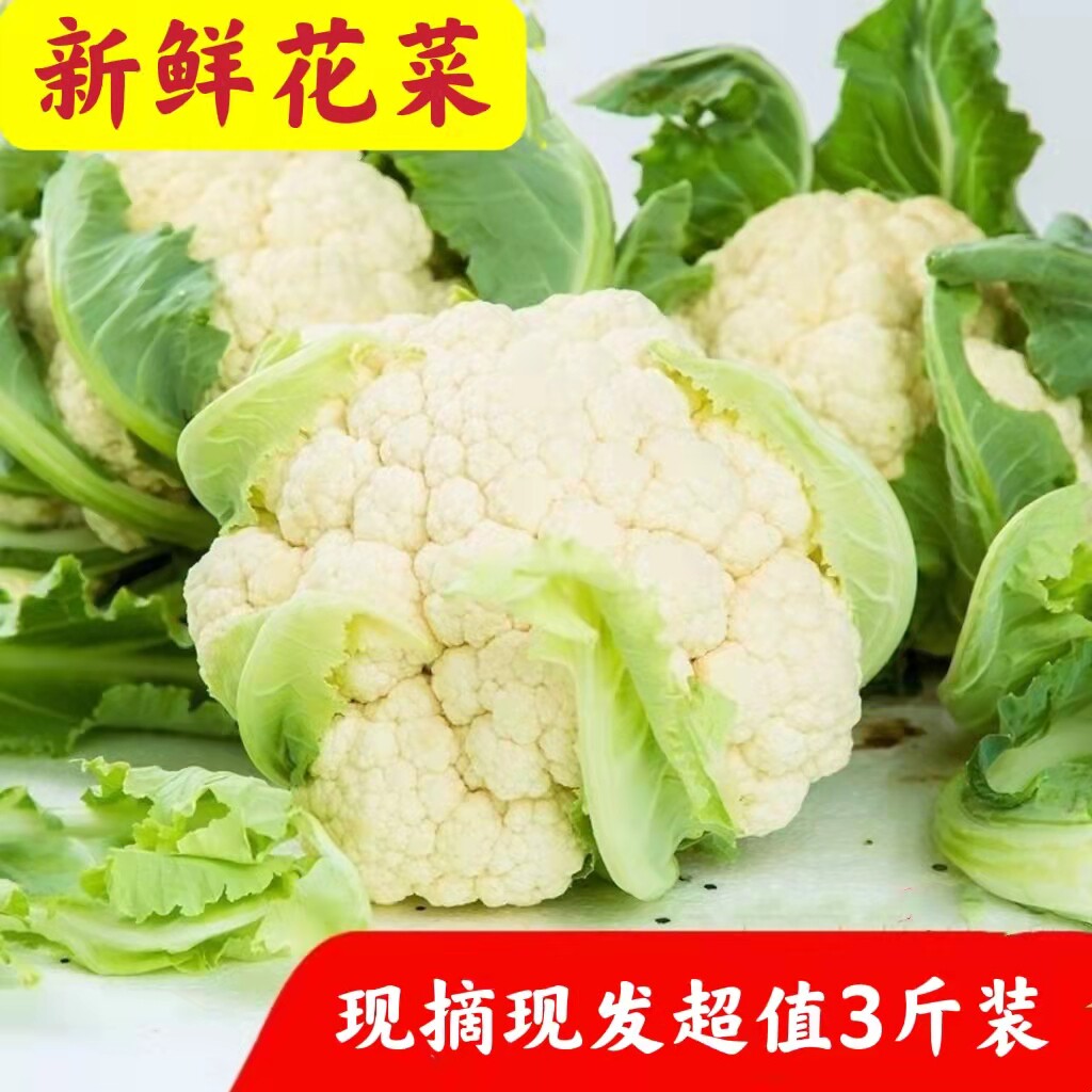 新鲜花菜当季农家自种花椰菜白花菜露天青梗松花散花菜时令青蔬菜