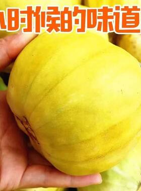 新鲜丑八怪香瓜甜瓜黄皮八棱瓜当季水果黄金蜜瓜现摘丑瓜湖北脃瓜