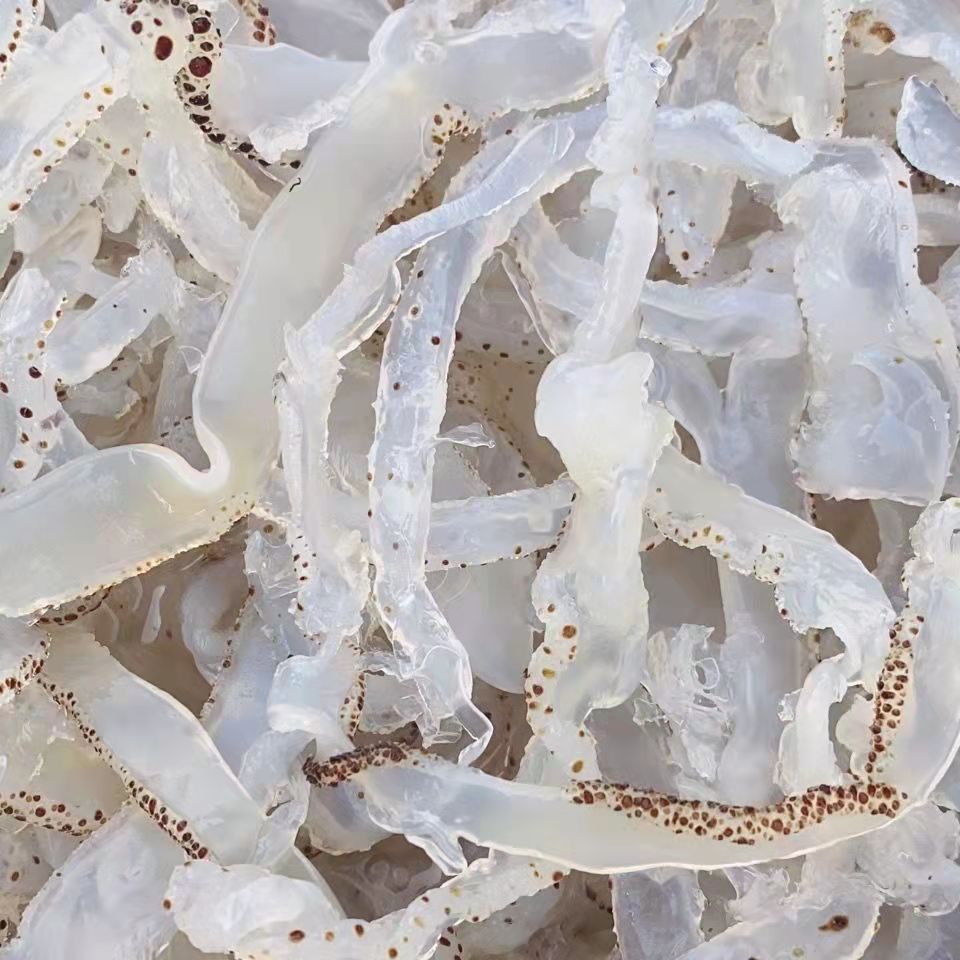 厂家直发珊瑚花海蜇丝非即食白花丝海蜇脆口珊瑚海蜇丝爽脆可口