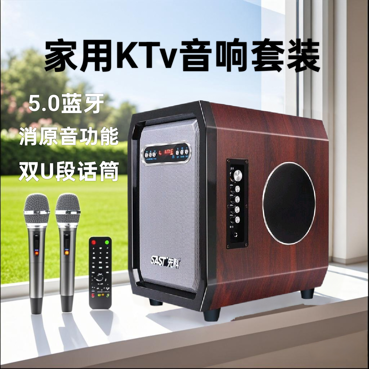 先科音响SW-26家庭音箱套装家庭影院无线蓝牙卡拉OK电视K歌套装