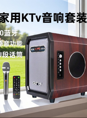 先科音响SW-26家庭音箱套装家庭影院无线蓝牙卡拉OK电视K歌套装