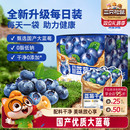 蓝莓干蔓越莓干果干果脯零食健康早餐 三只松鼠_每日混合果干