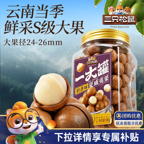 三只松鼠夏威夷果500g