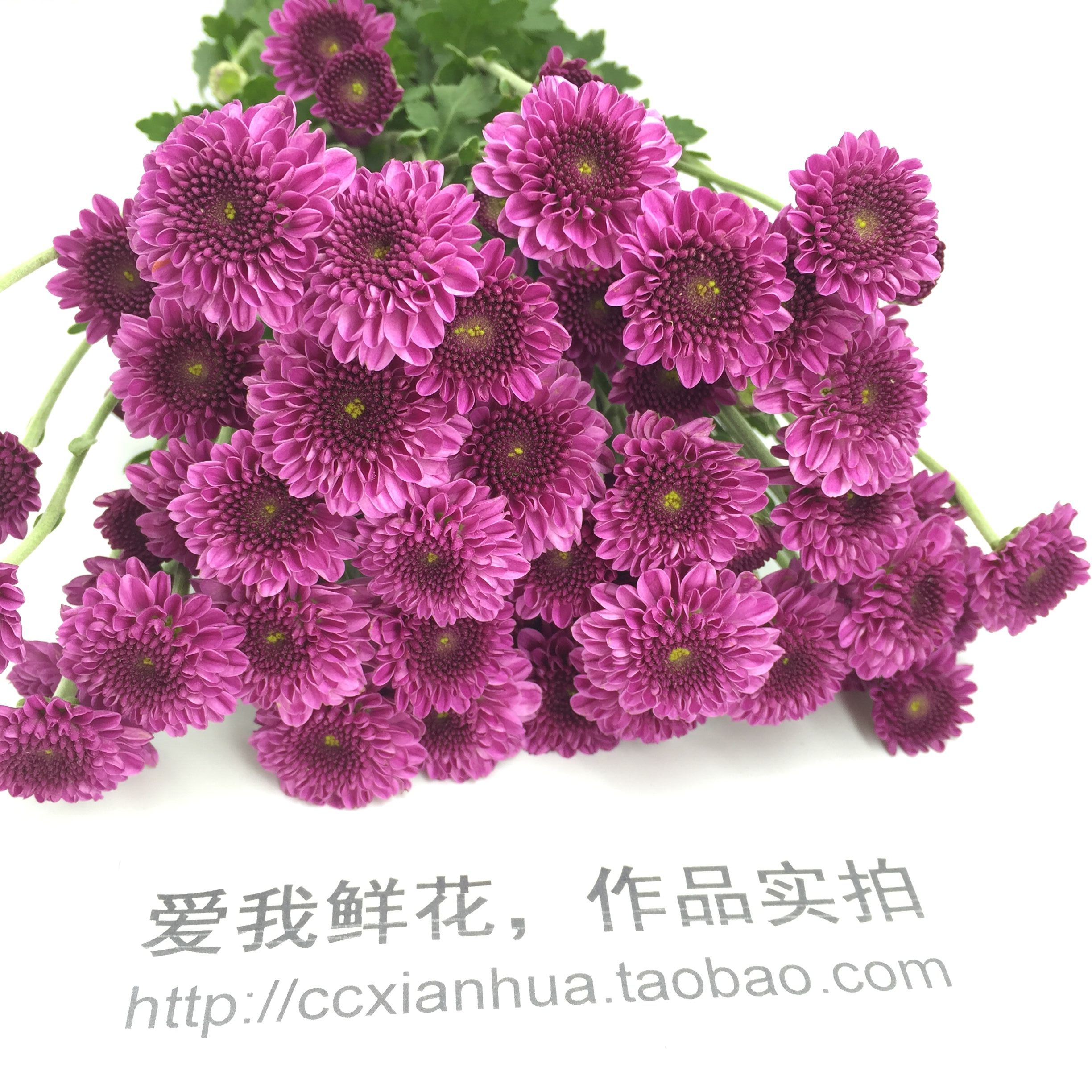 家庭插花  百合 玫瑰 康乃馨 小雏菊 蔷薇 洋桔梗 长春鲜花实体店