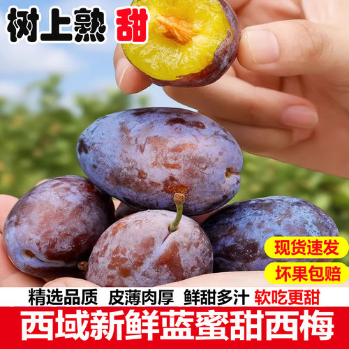 西域新鲜蓝蜜甜西梅孕妇新鲜水果