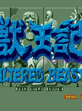 SEEA游戏卡 MD游戏卡 黑卡游戏卡 兽王记