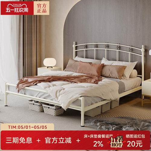 天坛双人加厚欧式风铁架床