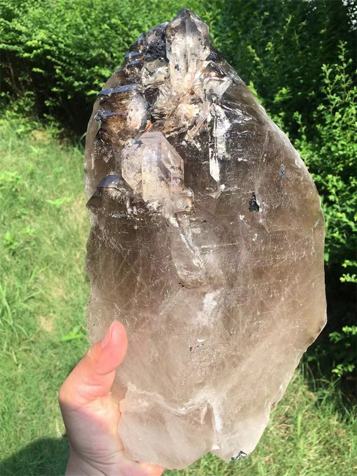 天然巴西茶水晶骸骨骨干原石摆件 古老水晶宝石 一物一图