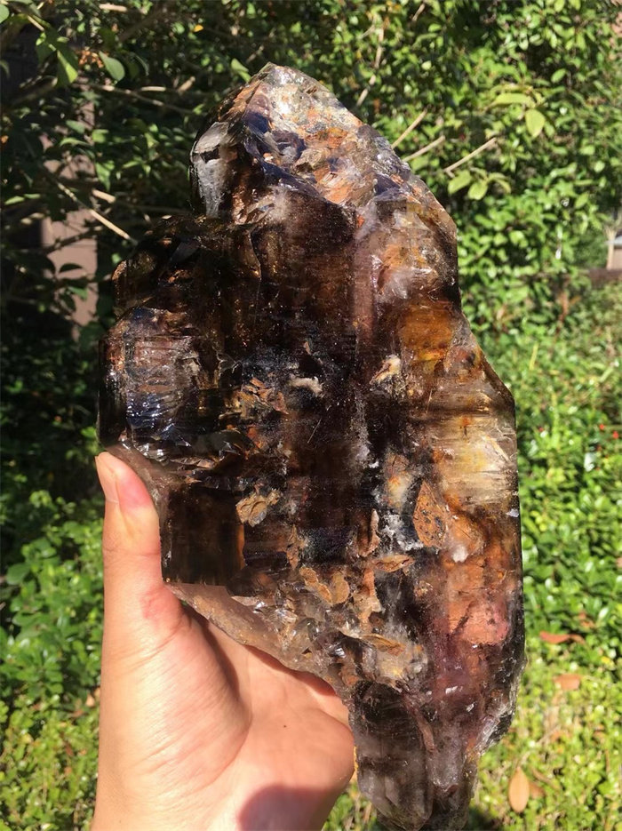 天然巴西茶水晶骸骨骨干原石摆件 古老水晶宝石 一物一图