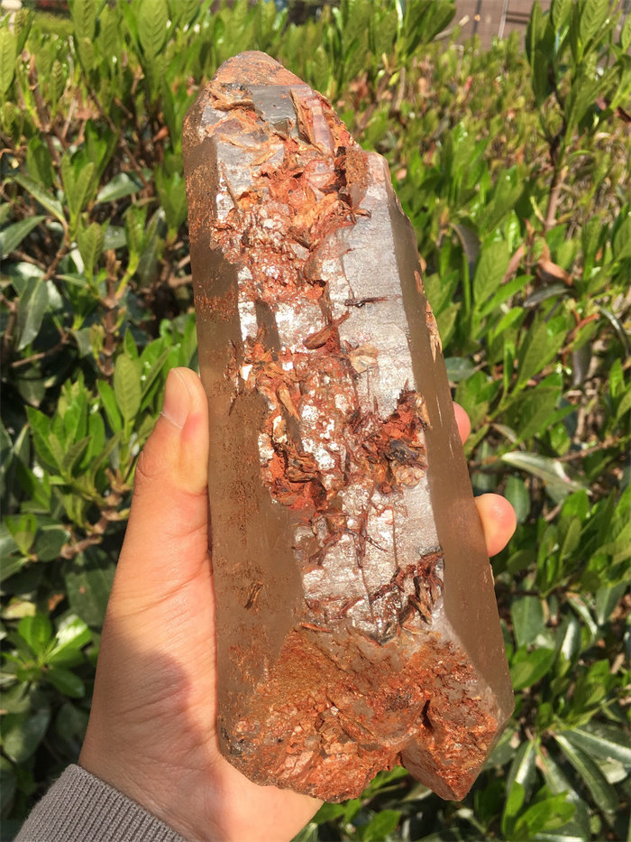 天然白水晶双尖原石摆件 云母共生 一物一图水晶宝石