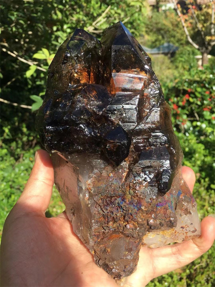 天然巴西茶水晶骸骨骨干原石摆件 古老水晶宝石 一物一图