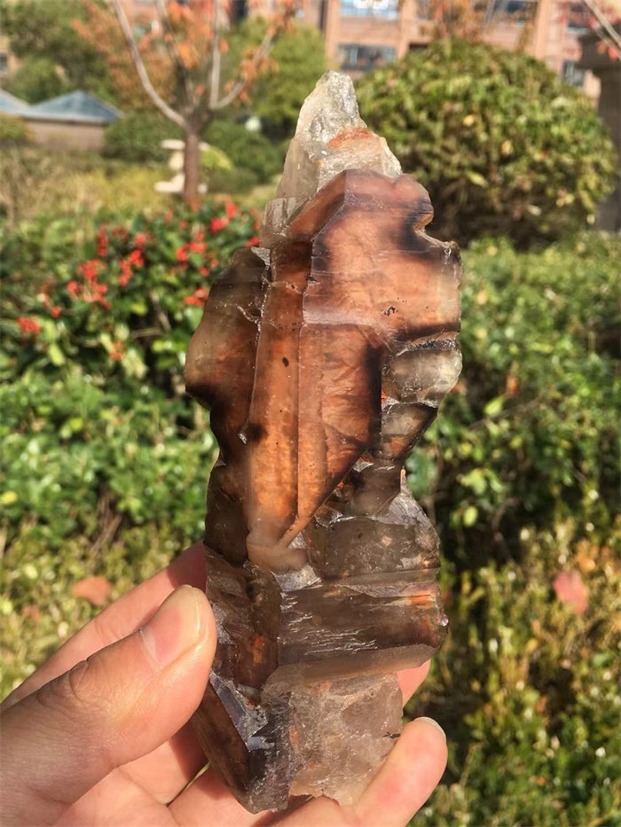 天然红泥白水晶骸骨骨干原石摆件 古老水晶宝石 一物一图