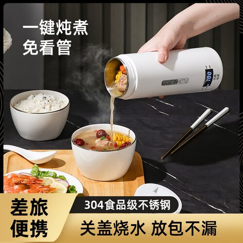 电热烧水杯电保温便携式旅行迷你数显户外恒温宝宝加热婴幼儿跨境