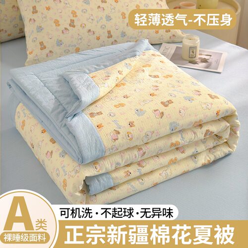 A类双层纱新疆棉花夏凉被四件套