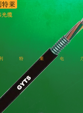 GYTS光缆 层绞式铠装光缆4芯6芯8芯12芯24芯室外单模国标光纤线缆