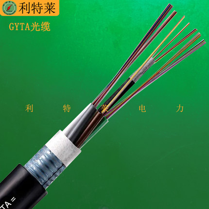 GYTA光缆 4芯6芯8芯12芯24芯层绞式铠装单模室外光纤线国标电信级