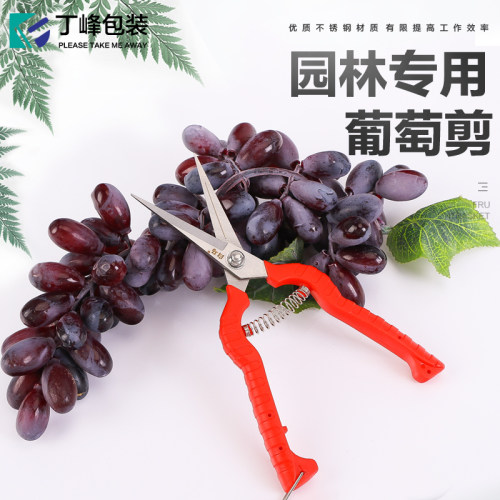 修枝剪园艺整枝工具剪刀葡萄剪刀 水果剪刀厂家丁峰包装
