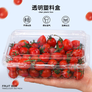 加厚500M吸塑盒 折叠盖水果打包盒100只透明塑料食品盒冬枣盒现货