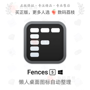 Fences 栅栏桌面美化图标整理正版 密钥软件 数码 Win 荔枝