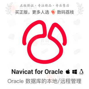 数码荔枝| Navicat for Oracle[Mac/Win]支持本地或远程服务器