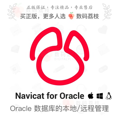 数码荔枝| Navicat for Oracle[Mac/Win]支持本地或远程服务器