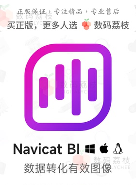 数码荔枝| Navicat BI[Mac/Win]数据图表可视化工具