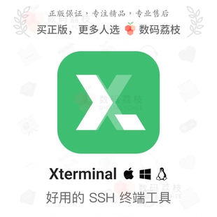 荔枝 多平台SSH终端 Xterminal Win 命令提示系统监控 Mac 数码
