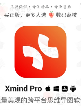 数码荔枝| Xmind Pro 正版思维导图树表脑图软件xmind办公