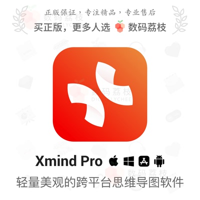 数码荔枝| Xmind Pro 正版思维导图树表脑图软件 xmind办公