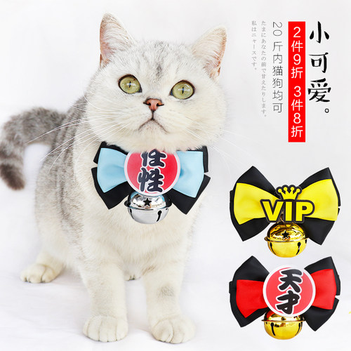 猫咪铃铛项圈泰迪猫猫饰品用品