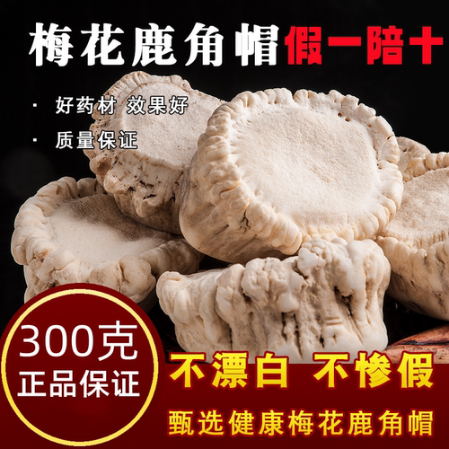 纯正鹿角帽粉300g吉林堵奶关爱
