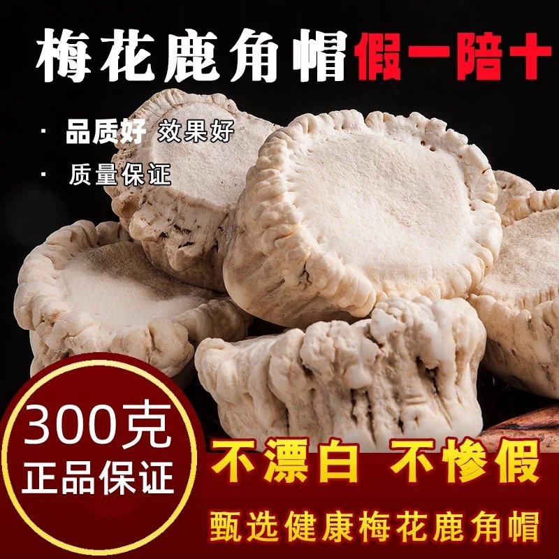 纯正鹿角帽粉300g吉林梅花鹿托盘整个鹿角粉自然脱落真品,传统滋补营养品,鹿制膏/鹿制品,淘宝优惠券,粉丝福利购,淘宝优惠卷